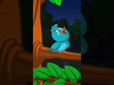 Pintainho Amarelinho - O Cuco na Floresta