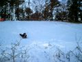Sleigh Crash