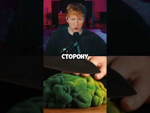 ДК о КОНФЛИКТЕ Марьяны Ро и Ивангая