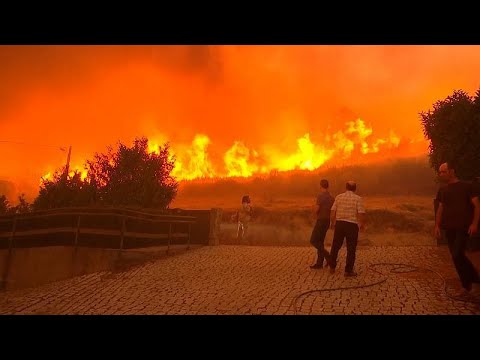 Gute und schlechte Nachrichten aus dem Waldbrandgebiet Gouveia