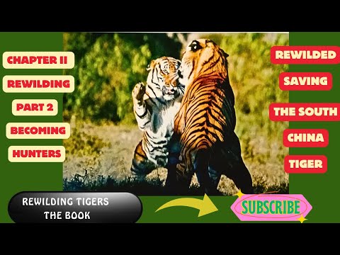 Rewilded Saving the South China Tiger Chapter 2. Part Two - Becoming Hunters