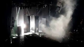 Deichkind - Illegale Fans