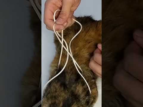 Homemade pet harness #tip #collar #pets #dog #cat #rope #knot #shorts