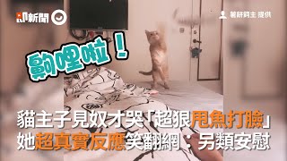 [問卦] 貓咪知道主人心情不好嗎？