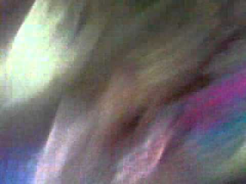 BABY FIRDOUS FLOWERS