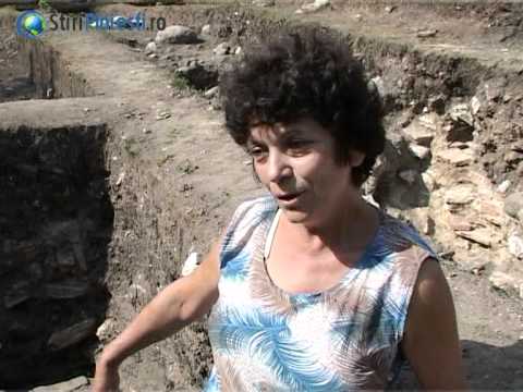 Castrul Roman de la Drajna de Sus