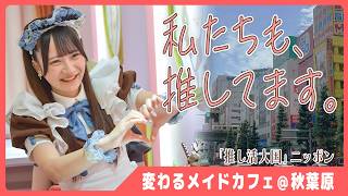 「私たちも、推してます」秋葉原で見た令和8年のメイドカフェ　なぜ？”ご帰宅”する「お嬢様」が急増　変わる推し活と、変わらないメイドの心得【推し活大国ニッポン】