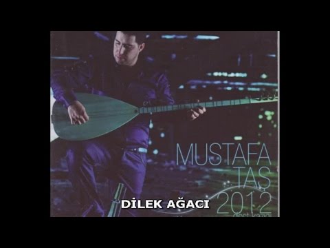 MUSTAFA TAŞ - DİLEK AĞACI