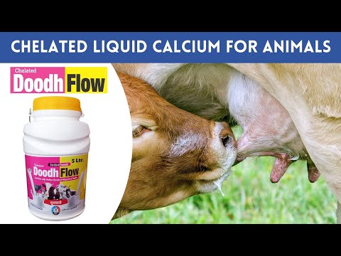 Triple strength liquid calcium for cattle, cow, goat and buf...