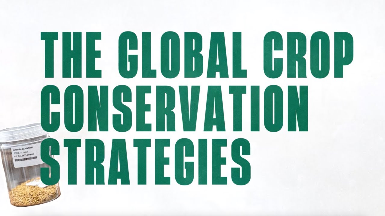 Global Crop Conservation Strategies: Working Together to Protect Crop Diversity