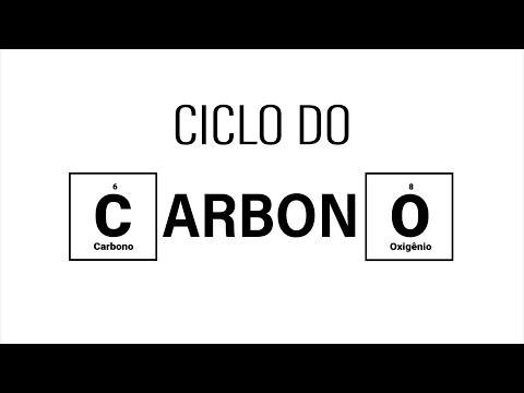 Carbon Cycle - Biogeochemical Cycles -