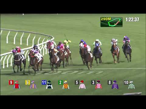 24/11/2021 (199) Run The Table - Z Purton