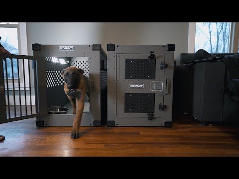The Most Reliable Dog Crates for High-Drive Military K9s