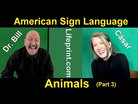 Lesson 12 Story B Cäsar Jacobson Dr Bill ASLU Lifeprint com American Sign Language ASL