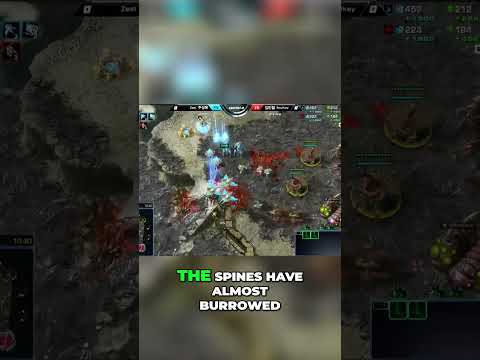 Zest' perfect ramp block + cannon rush in StarCraft 2
