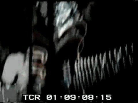 Roadrunners - Macadam River (Official Video)