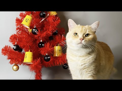 FUZIK THE CHORNOBYL CAT! [2024 Holiday Special]