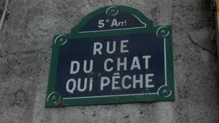 Dam Le Pion - La rue du chat qui pêche