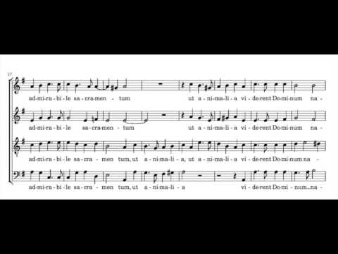 O Magnum Mysterium [Tomás Luis de Victoria] - Soprano Practice Video