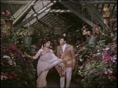 download lagu mp3 mp4 Thanivi Theeralede Song Free, download lagu Thanivi Theeralede Song Free gratis, unduh video klip Thanivi Theeralede Song Free