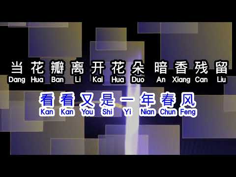 沙宝亮  《 暗香 》  an xiang