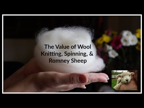 , title : 'The Value of Wool (Knitting, Spinning & Romney Sheep)'