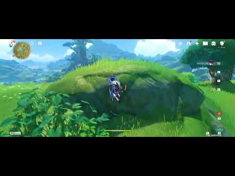 [GI] Wanderer CA Spam Practice (15 Execution)