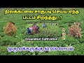 நிலக்கடலை விதைக்க ஏற்ற பட்டம் எது Kadalai 