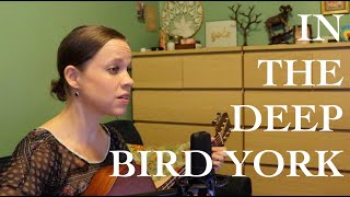 In The Deep - Bird York • live acoustic cover • Kimberly Townsend