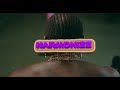 Harmonize-ushamba (official music video