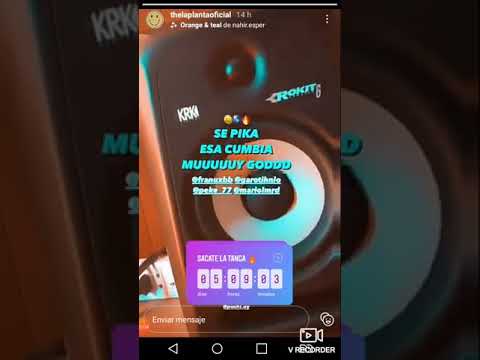 The La Planta x Peke 77 x Franux x Garotinho