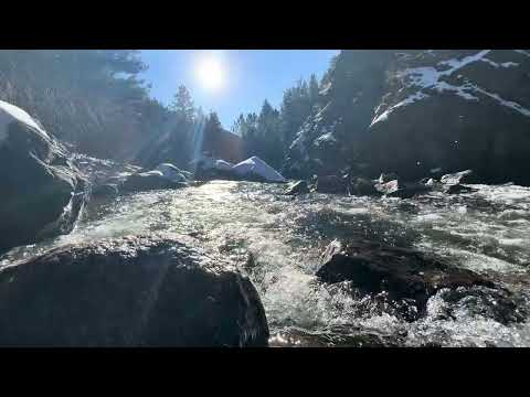 Relaxing River Sounds for Sleep 🌊 30 Minutes of Nature Ambience