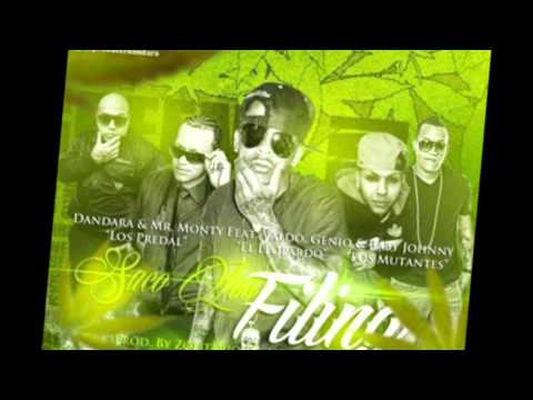 "Saco Los Filing" Dandara Mr Monty Ft Valdo El Leopardo & Genio y Baby Johnny Los Mutantes