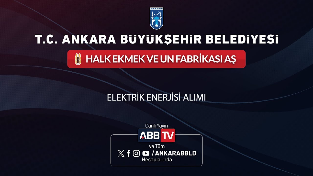 HALK EKMEK VE UN FABRİKASI AŞ - Elektrik Enerjisi Alımı