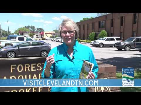 Staycation Station – Visitor’s Guide Outdoor Adventures Staycation Station – Visitor’s Guide Outdoor Adventures