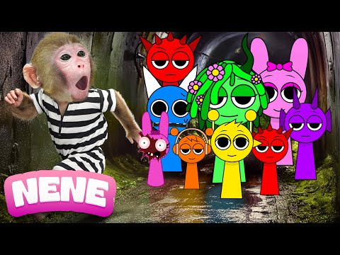 Monkey NeNe Catch The Thief And Escapes Incredibox Sprunki Prison With Duckling | NENE ANIMAL MONKEY