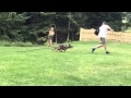 Taking a bite from a search in slow motion Taking a bite from a search in slow motion