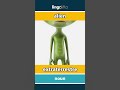 alien - extraterrestre video thumbnail