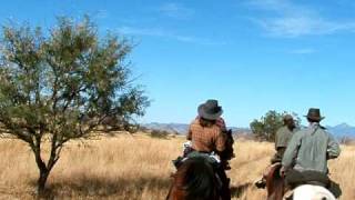 preview picture of video 'arizona trail a cheval'