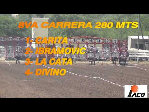 DIVINO HIPODROMO DON SOHAR CRUZ DEL EJE 27 3 2022