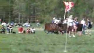 The Lost Wikings Umeå &quot;Nagelfar&quot;