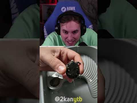 RRaenee | Çok tatlılar oğlum ya