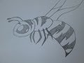 How to draw a bee How to draw a bee
