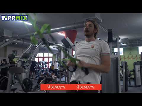 UVSE - GENESYS OSC - Bisztritsányi Dávid - 2023.02.21.