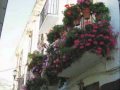 Silvio Rodriguez - Mi casa ha sido tomada por las flores