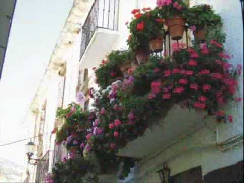 Videoclip de Mi Casa Ha Sido Tomada por las Flores — Silvio Rodríguez