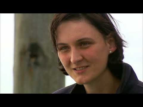 Die Küsten des Nordens