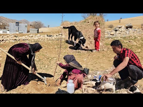 A day full of challenges for Sajjad's family