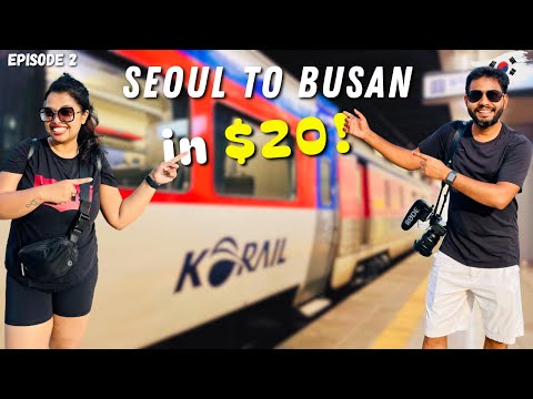 Seoul to Busan in South Korea's Cheapest KoRail - Mugunghwa Train 🇰🇷 | BIFF | Busan Tower