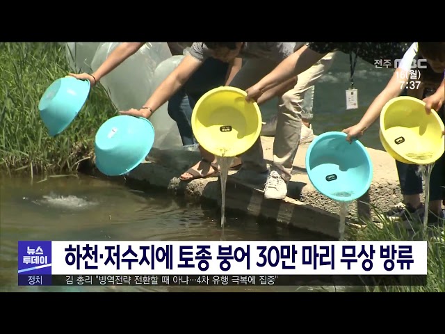 하천·저수지에 토종 붕어 30만 마리 무상 방류